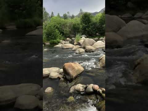 View of River from Site #29 (1-2 minute walk through the woods behind site)