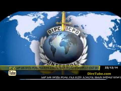 DireTube News Interpol set to open its first office in Africa