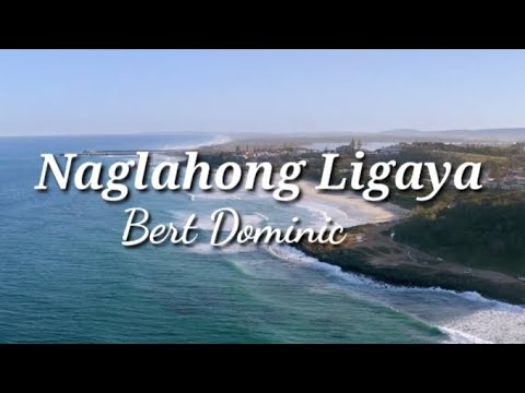 Naglahong Ligaya by Bert Dominic l Sing Along Karaoke