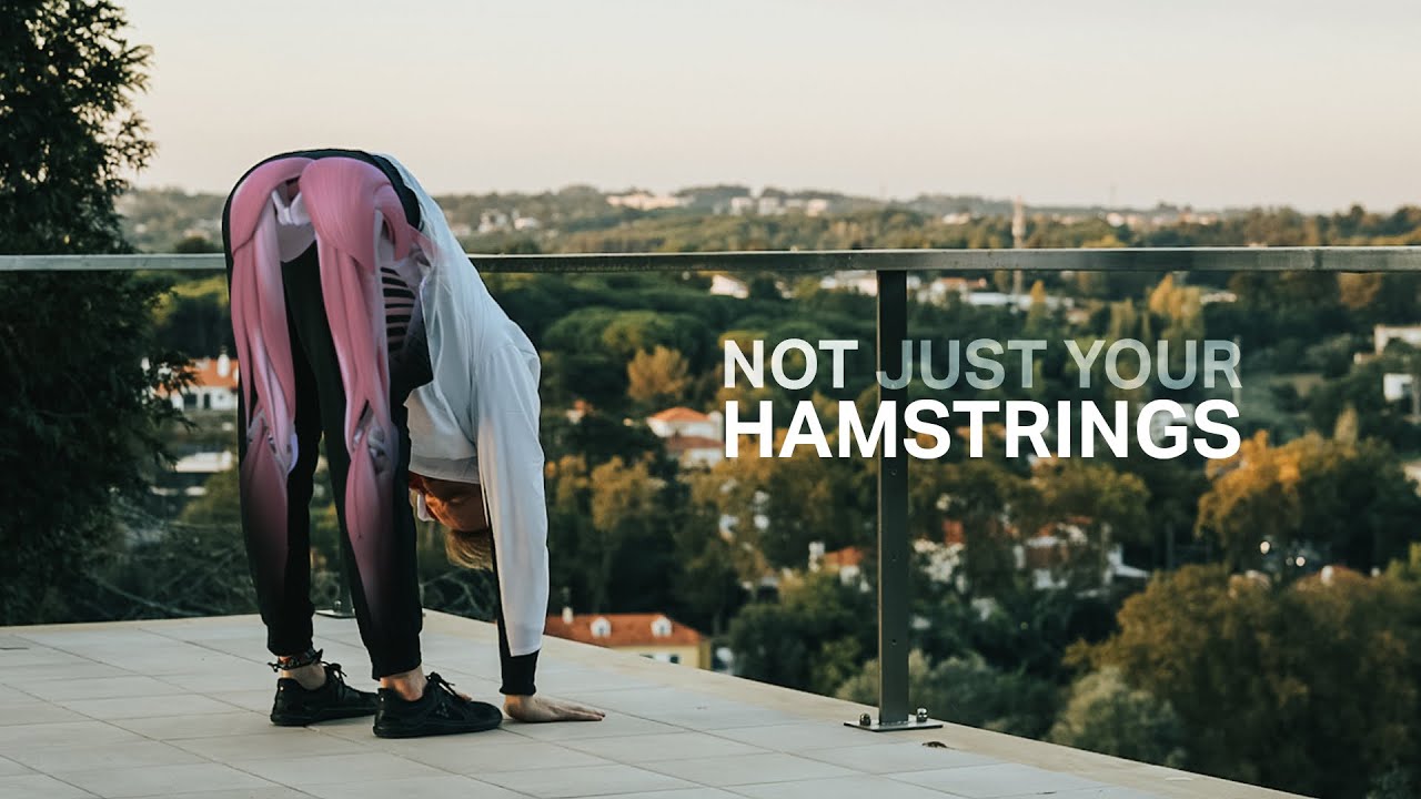 Mechanics of Touching Your Toes (with hands or head)