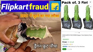 Flipkart fraud | Dragon fruit plant | Kamalam | Dragon fruit plant online purchase #DragonFruit