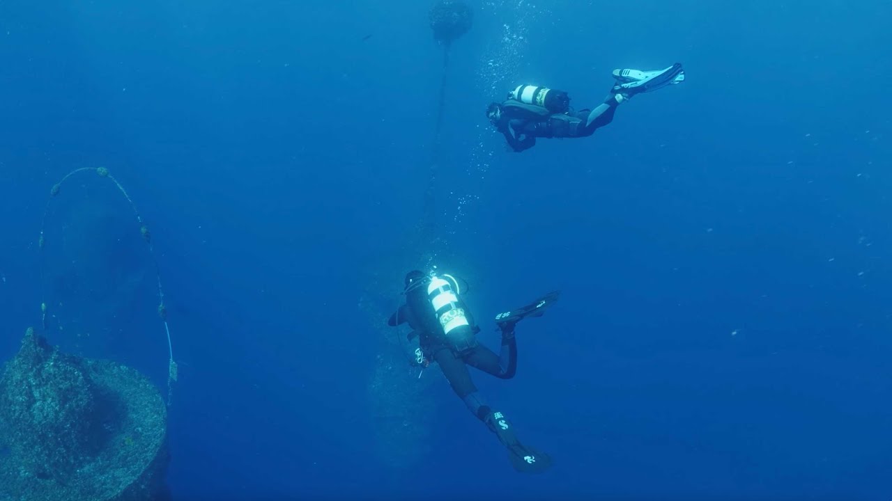 Discover the highlights of immersive ocean journey at Wonder Reef.