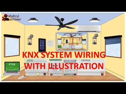 KNX System Wiring for a room with illustration | KNX system | KNX wiring | KNX installation