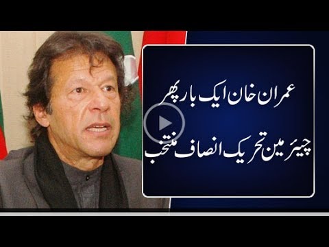 PTI holds intra-party elections, Insaf panel emerges victorious