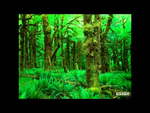 Kuban x Essex   Myślałby Kto (Essex Instrumental Remix)