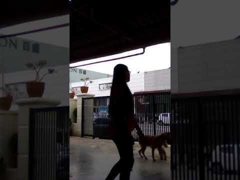 ZAKIA ALLY OF SUPERMAN