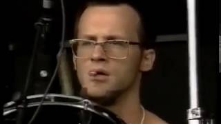 Thelonious Monster at the Pinkpop festival 1993