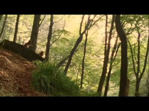 My Summer Of Love (2005) Trailer