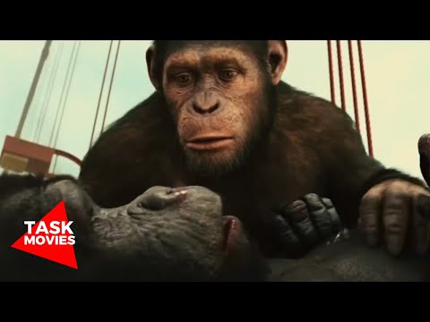 Gorilla vs. Helicopter Scene | Rise of the Planet of the Apes (2011)