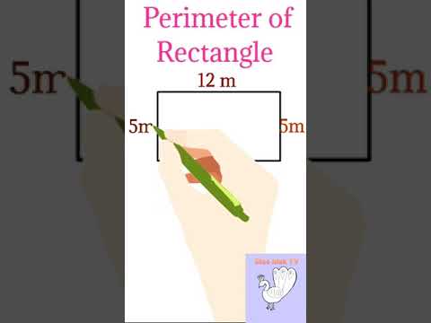 Find Perimeter of Rectangle | Perimeter of rectangle |#shorts