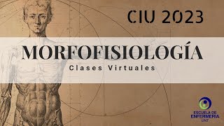 Clase N°2 - Morfofisiología