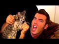 Humor The Mean Kitty Song