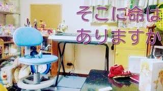 「オリジナルPV」そこに命はありますか