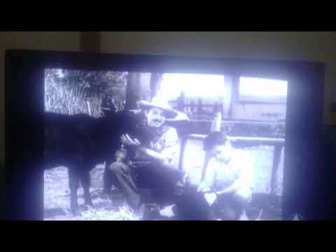 Mazzaropi .. o lamparina. .. vento bananeira