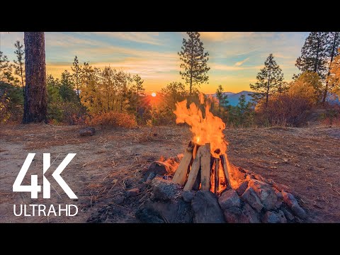 8 HOURS Calming Sounds of Crackling Campfire - 4K Peaceful Atmosphere of Campfire at Sunrise