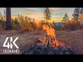 8 HOURS Calming Sounds of Crackling Campfire - 4K Peaceful Atmosphere of Campfire at Sunrise