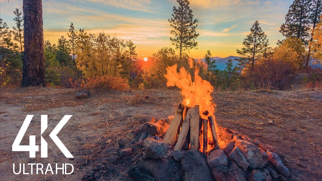 8 HOURS Calming Sounds of Crackling Campfire - 4K Peaceful Atmosphere of Campfire at Sunrise