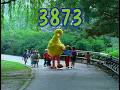 Sesame Street Birdketeers Vs Duckketeers