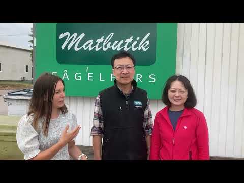 Välkommen till Fågelfors!