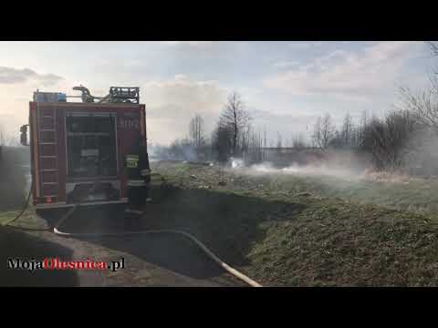 24.03.2019 Oleśnica - duży pożar traw przy ul. Kruczej
