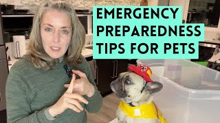 Don’t Wait Until It’s Too Late: Emergency Evacuation Tips for You & Your Dog