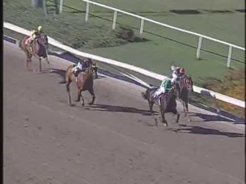 Hollywood Milady 2004