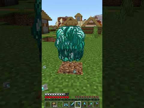 ALL MAX LEVEL Enchantments in Minecraft... (32767) #shorts