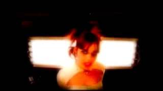 Stargazer Lily - Stay True