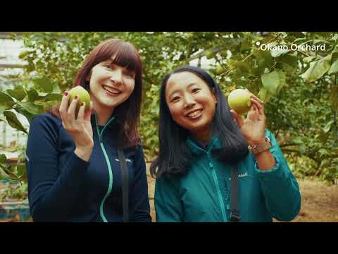 Connect with the slow life of island life along the Shimanami Kaido, Part 2 The Yumeshima Kaido
