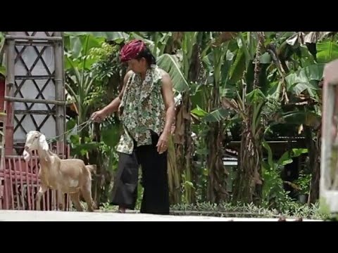 cak-silo-peternak-kambing-sukses