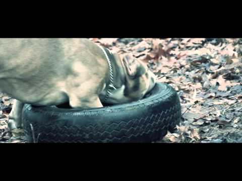 Treat You Like A Pit