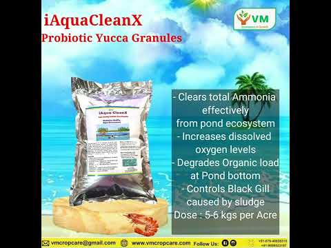 Yucca Probiotic Granules