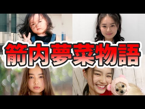箭内夢菜の生い立ちと人生を徹底解説してみた【ゆっくり解説】苦労エピソード、デビュー秘話、ゆるキャン△、グラビア、イッテQ、チアダン、始球式、など