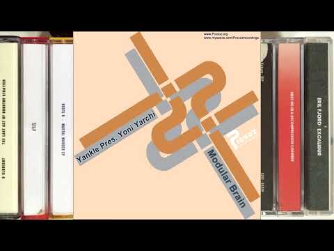 Yankle Pres. Yoni Yarchi - Modular Brain (Maori Remix)