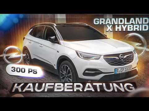 Grandland X Hybrid / 300PS / Test / Kaufberatung / Erwin Paul Gmbh