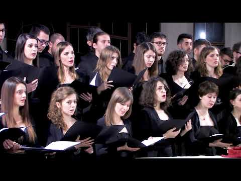 OAV | Karl Jenkins: Benedictus | L. Passerini, dir. | C. Giacomazzi, cello