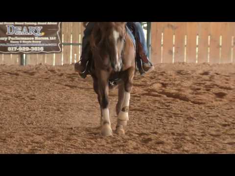 Texas Horse Report Interview with Casey Deary of Deary Performance Horses