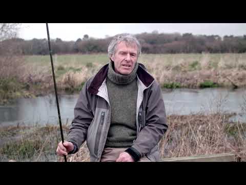 JOHN BAILEY PISCARIO