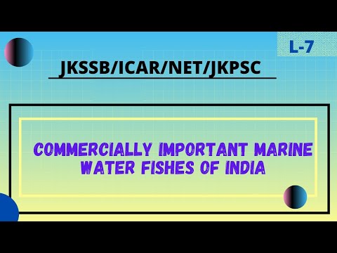 , title : 'Commercially Important Marine Fisheries In India.'