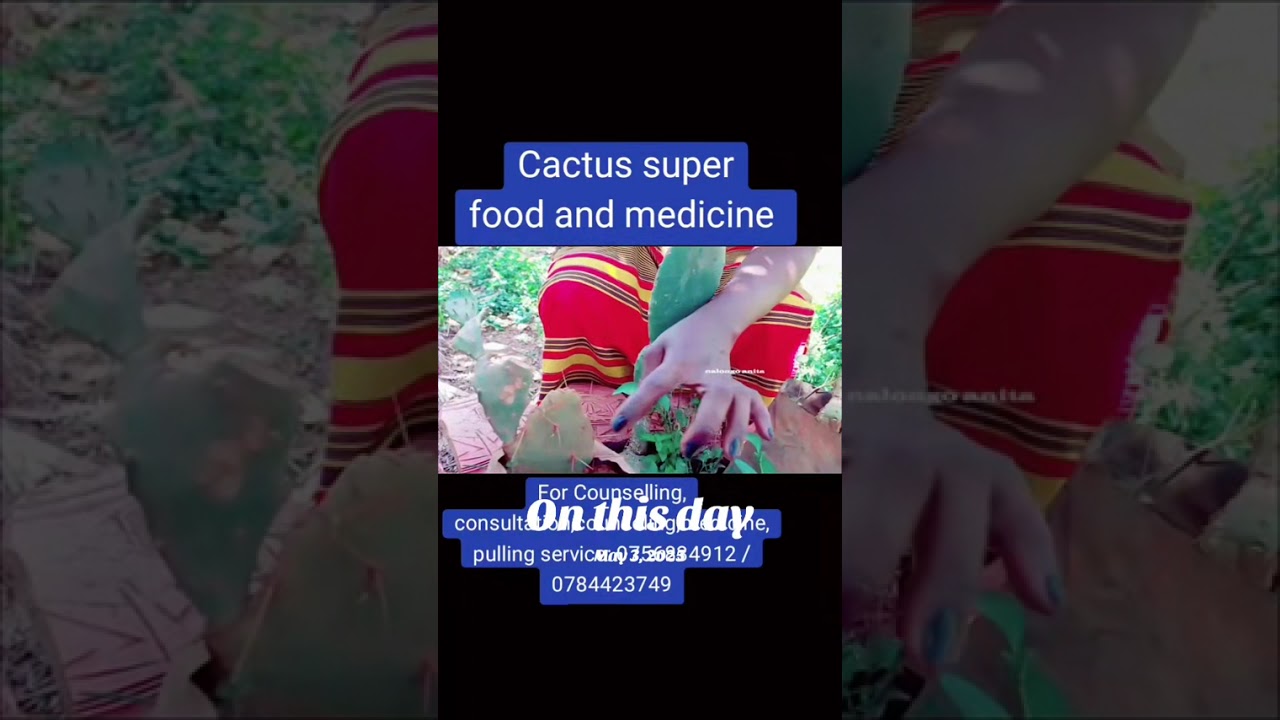 Cactus, engabo yakabaka dagala nyo. Nalongo Anita