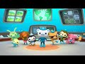 The Octonauts And The Pininga Turtle Octo Report The BIG Octonauts Channel