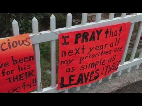 N.J. Grandmother Gets After Anonymous Neighbor Critical Of Her Unkempt Lawn