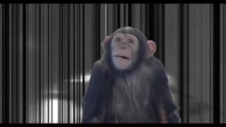 Slaves: STD&#39;s / PHD&#39;s. Album &#39;Take Control&#39; 2016.