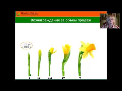 Школа по маркетингу Ирина Сластина