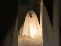 Adorable Puppies Dressed Like Ghosts Haunt House Halloween Dogs Shorts