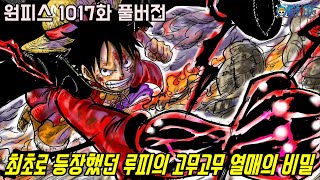 [원피스 1017화 풀버전 리뷰]원피스 최초로 등장했던 악마의 열매 루피의 고무고무 열매의 비밀이 밝혀지다!?