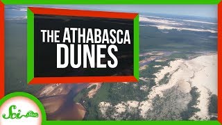 The Freezing Dunes of Northern Canada