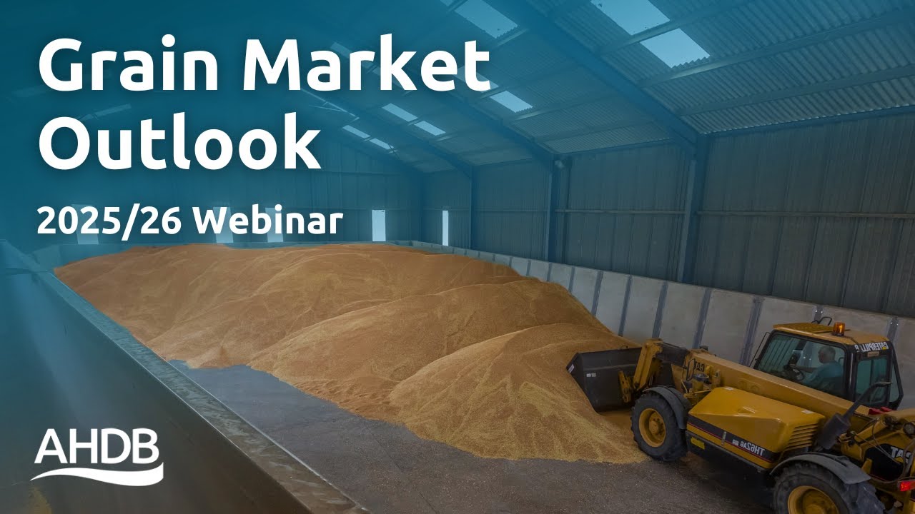 Grain Market Outlook 2025/26: A focus on crop quality for the year ahead | AHDB Webinar