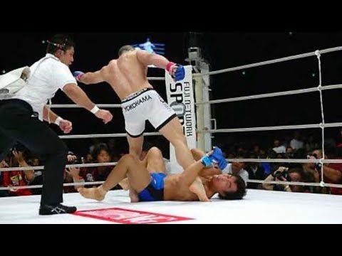 "Pride Rules" knockouts in Pride FC (kicks,knees and stomps)