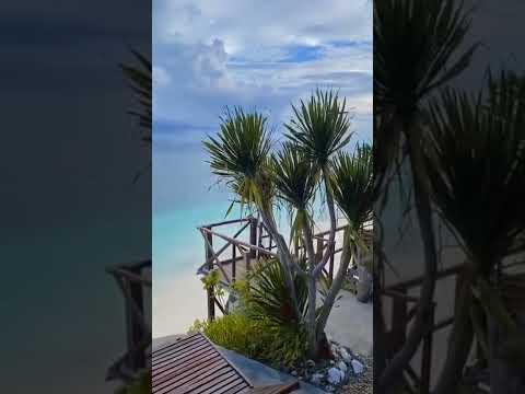 barabeach @ninisbungalow